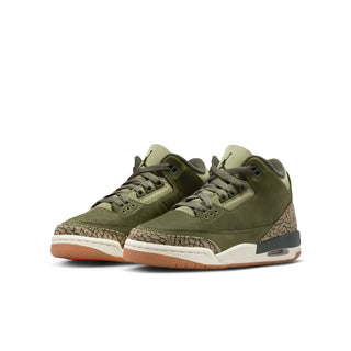 (GS) JORDAN 3 RETRO "FAMILY AFFAIR" DM0967-202