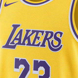 NIKE LEBRON JAMES LA LAKERS ICON EDITION JERSEY DN2009-733