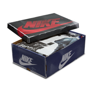 JORDAN 1 RETRO HIGH OG 'RARE AIR' DZ5485-100