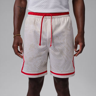 MEN'S JORDAN SHORTS "PHANTOM/PHANTOM/UNIVERSITY RED" IM7768-030