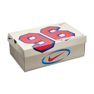 NIKE BOOK 2 "WNBA 30th" IR6333-100