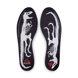 MEN'S NIKE JA 3 "RAPTOR" JURASSIC PARK IU7240-001