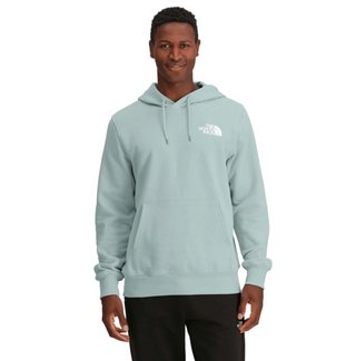 Sweat à capuche suspendu THE NORTH FACE MUTED PINE NF0A8B031OC