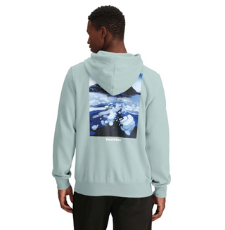 Sweat à capuche suspendu THE NORTH FACE MUTED PINE NF0A8B031OC