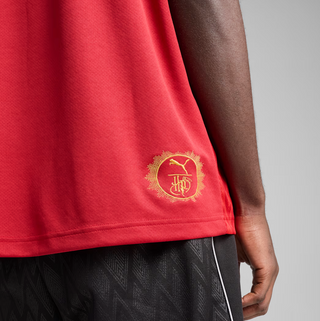 MEN'S PUMAxHARRY POTTER RELAXED SOCCER JERSEY "DARK CRIMSON" 630096-13