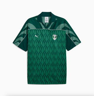 MEN'S PUMAxHARRY POTTER RELAXED SOCCER JERSEY "DARK MYRTLE" 630096-60