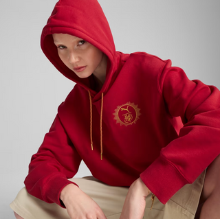 MEN'S PUMAxHARRY POTTER RELAXED HOODIE "DARK CRIMSON"  630093-13