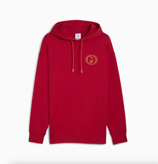 MEN'S PUMAxHARRY POTTER RELAXED HOODIE "DARK CRIMSON"  630093-13