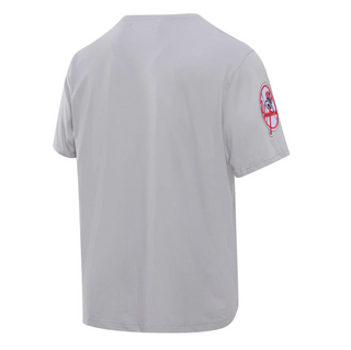 PRO STANDARD NEW YORK CLASSIC CHENILLE TEE "YANKEES" LNY131148-GRY